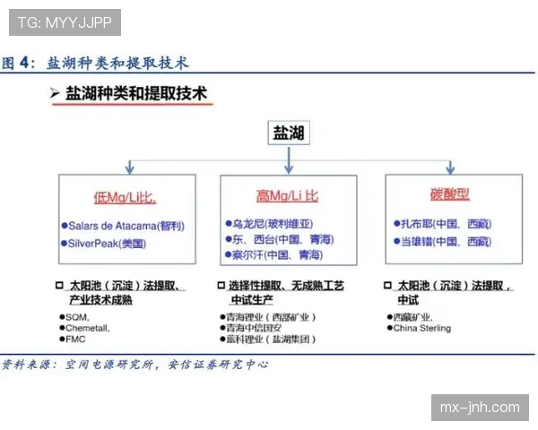 奥利塞战术角色依赖与体系适配性解析