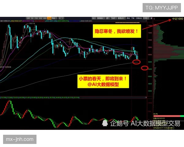 伊布与本泽马：终结方式分化，单点强攻转向体系联动